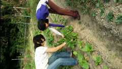 20131124 Organic Farm28